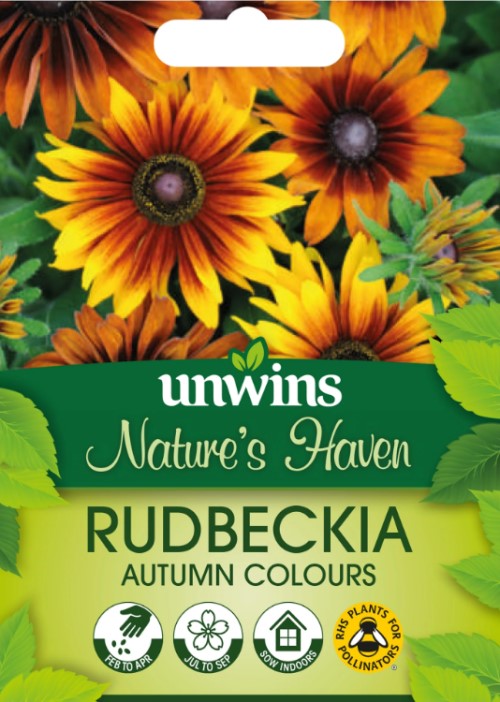 Sommarrudbeckia 'Autumn Colours'