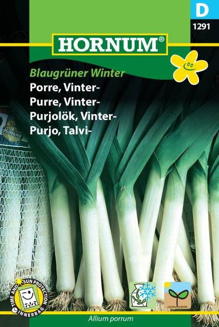 Purjolök, Vinter 'Blaugrüner Winter'