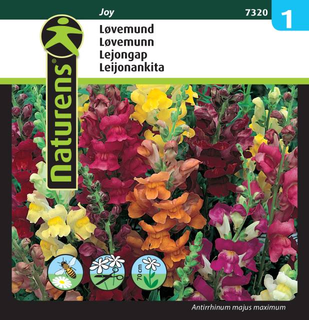 Lejongap Mix 'Joy'