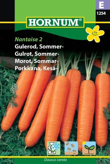 Sommarmorot 'Nantaise 2' frö