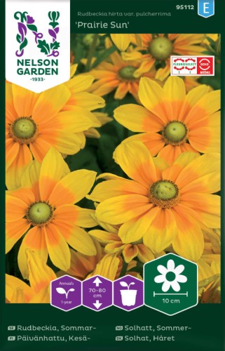 Sommarrudbeckia 'Praire Sun'