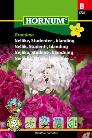Borstnejlika Mix 'Grandma' frö