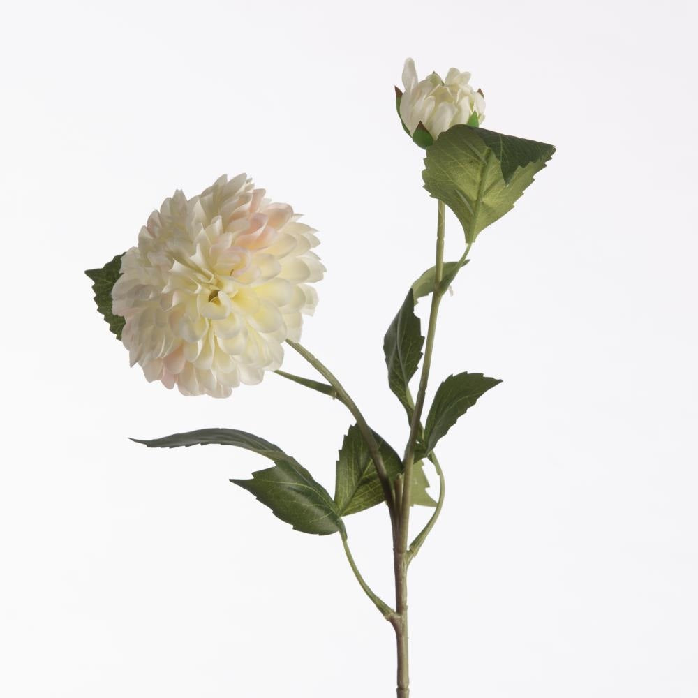 Dahlia pompon cream x2 61 cm