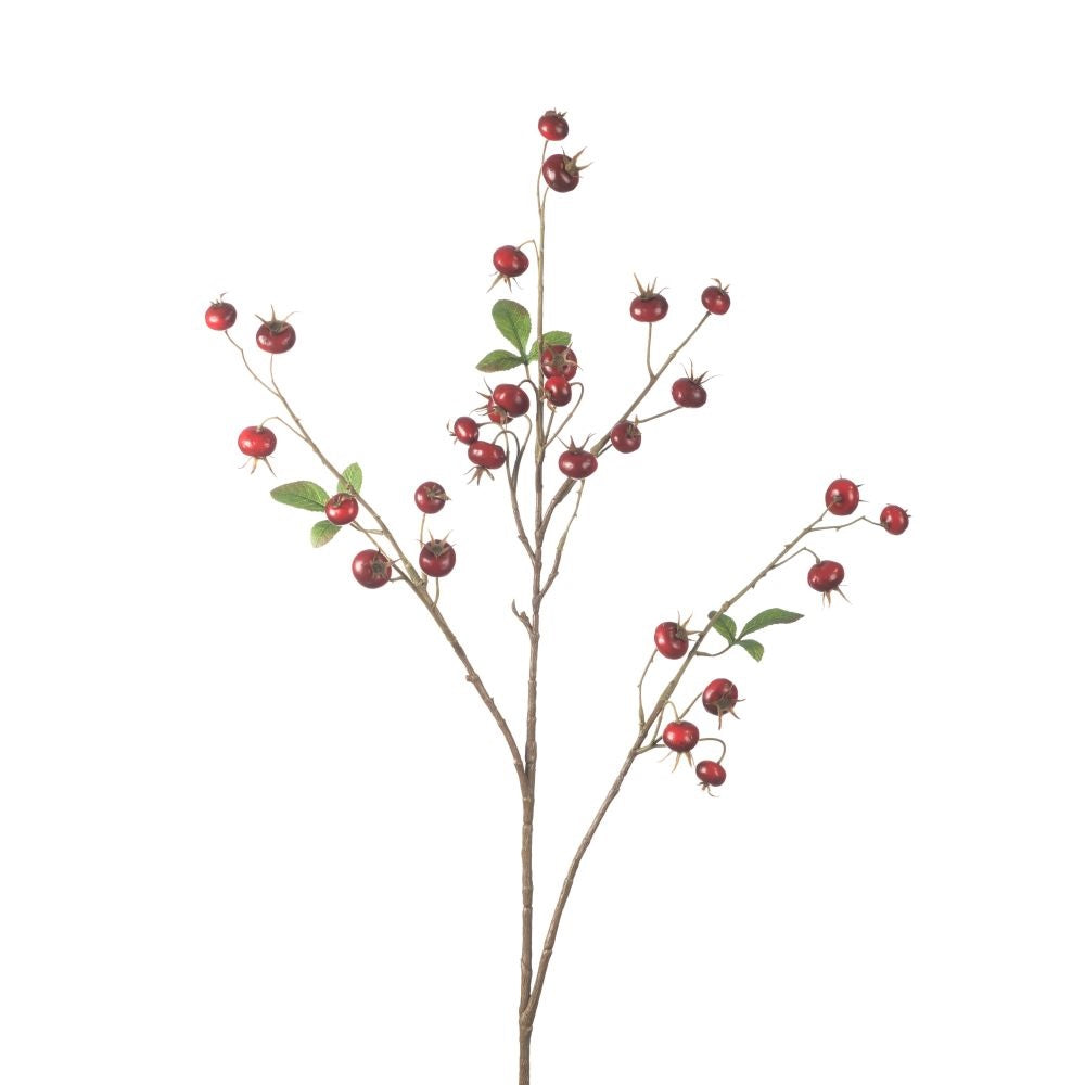 Rosehip Pumpkin Spray red 102 cm