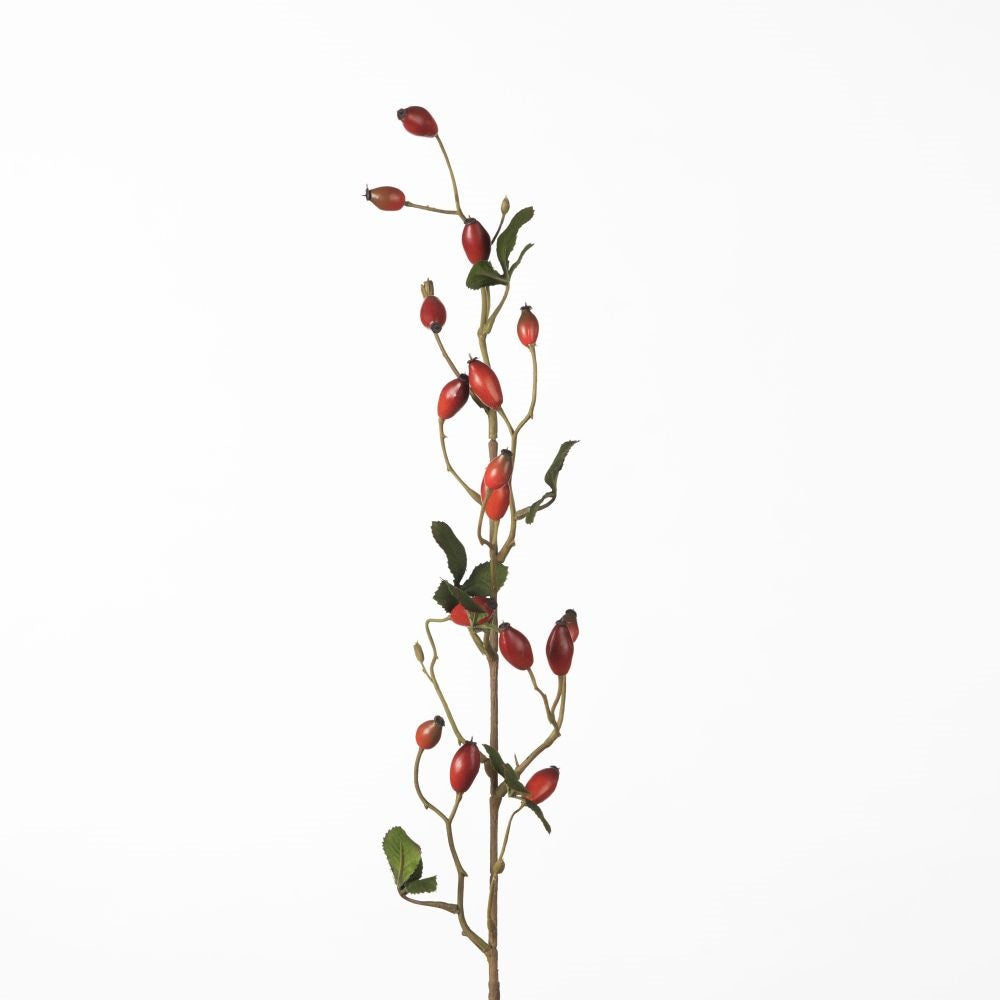 Rosehip Zaffiro Spray red 84 cm