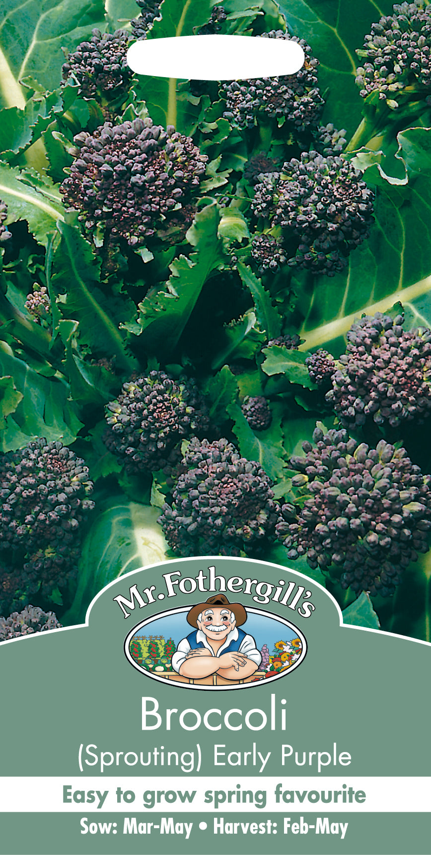 Broccoli 'Early Purple'