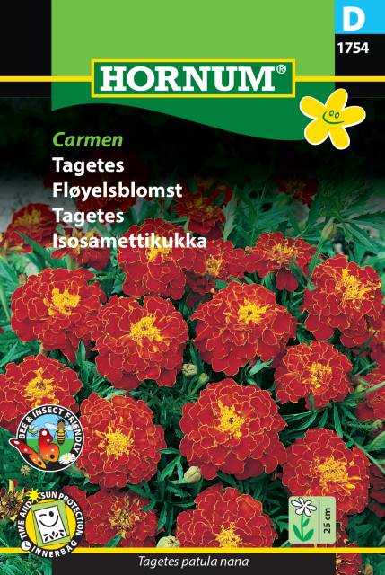 Sammetstagetes 'Carmen' frö