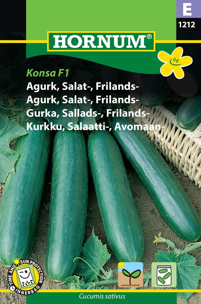 Salladsgurka 'Konsa' F1