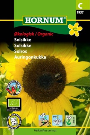 Solros 'Gelbe Riesen' EKO