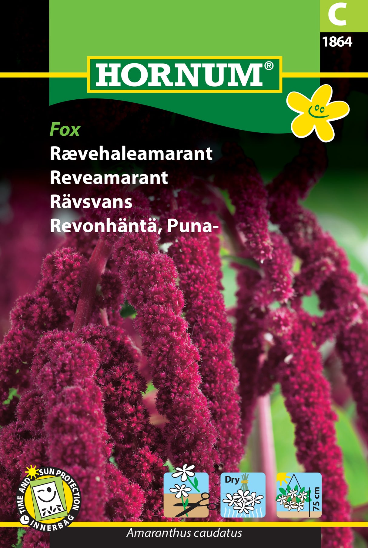 Rävsvans Amarant 'Fox' frö