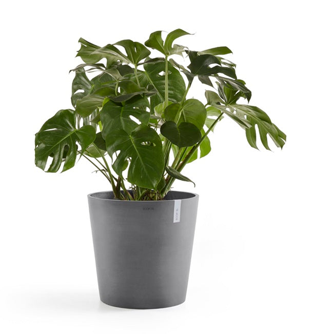 Kruka 'Amsterdam 50' Grey D50,5cm