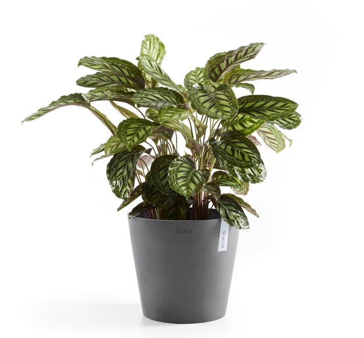 Kruka 'Amsterdam 40' Grey D40cm