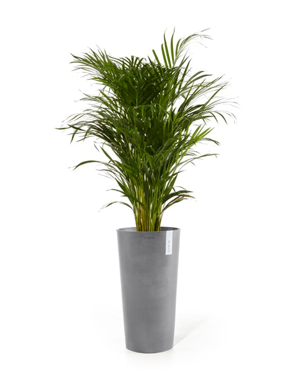 Kruka 'Amsterdam High 76' Grey H76,8cm