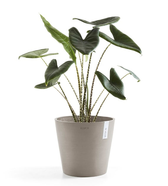Kruka 'Amsterdam 40' Taupe D40cm
