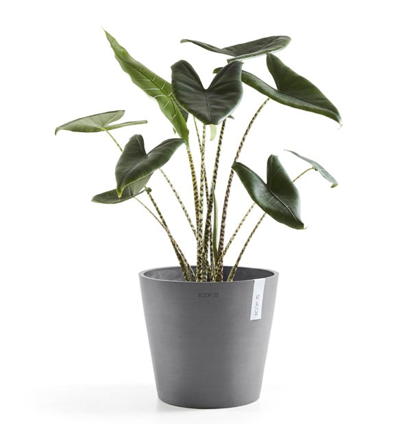 Kruka 'Amsterdam 30' Grey D30cm