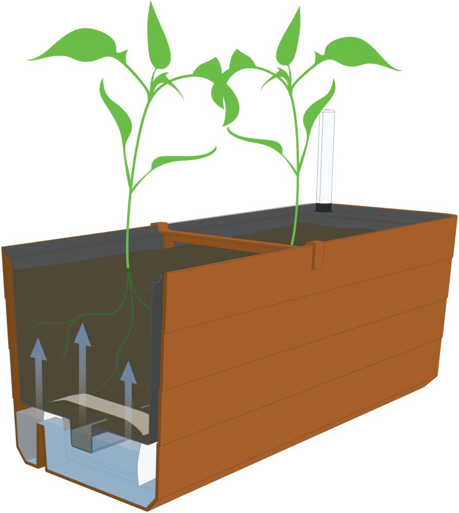 Odlingslåda 'Berberis 40' Grey