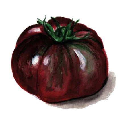 Bifftomat 'Black Brandywine'