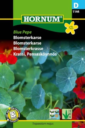 Blomsterkrasse 'Blue Pepe'