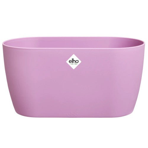 Brussels Orchid Duo 25cm Soft Pink