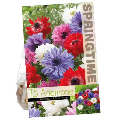 Bukettanemon 'St Brigid Mix' 25st