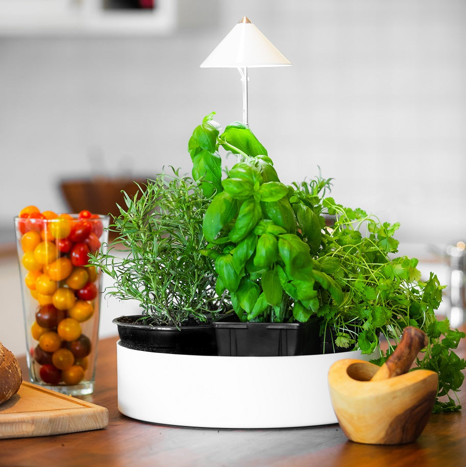 Sunlite MiniHerb L ø31cm m. tråg