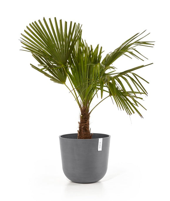 Kruka 'Oslo 35' Grey D35cm