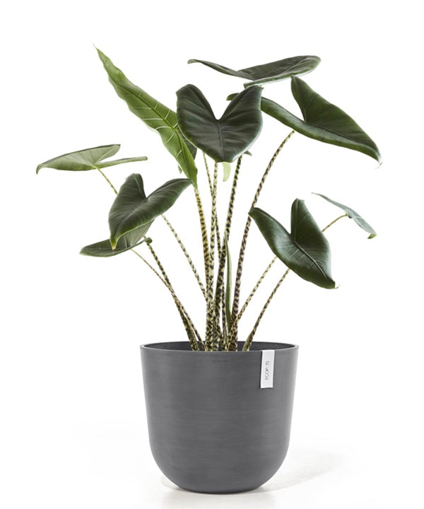 Kruka 'Oslo 45' Grey D45cm