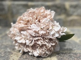 PEONY HYDRANGEA BUNDLE DRY WHITE