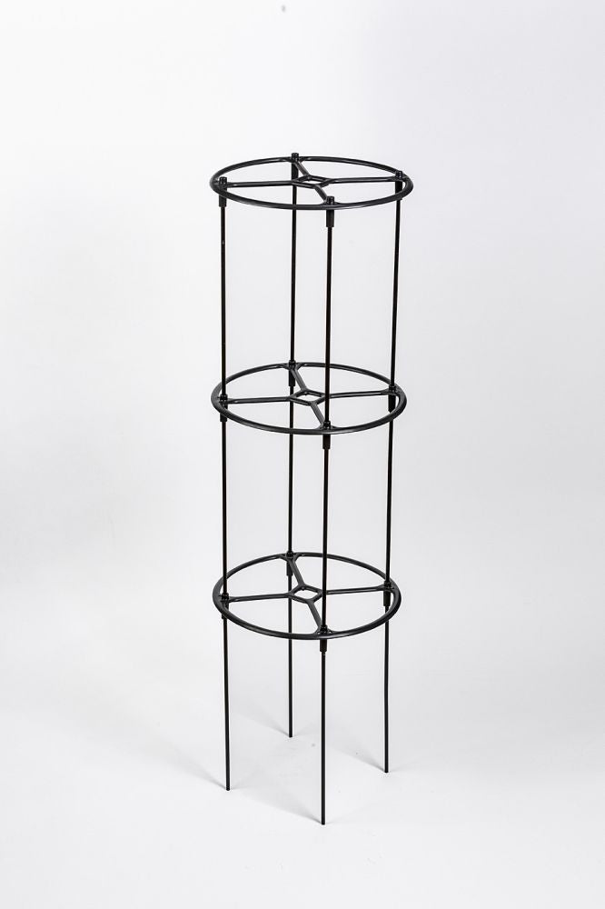 Växtstöd 'Berberis' H130cm