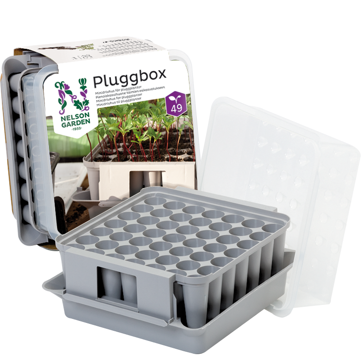 Miniväxthus Pluggbox