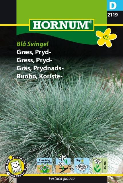 Prydnadsgräs Blåsvingel