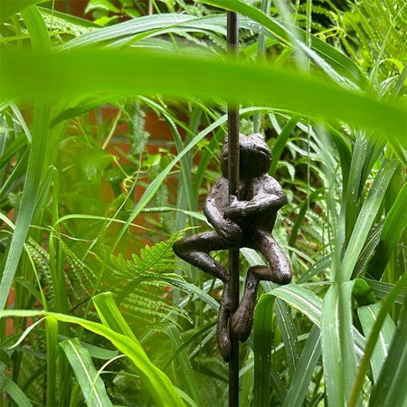 Regnmätare 'Groda' Inkl Måttglas