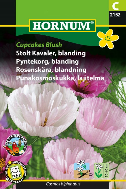 Rosenskära 'Cupcake Blush'