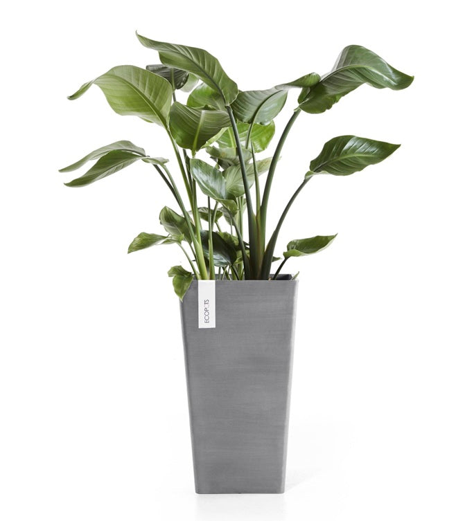 Kruka 'Rotterdam Mid High 56' Grey H56,5cm