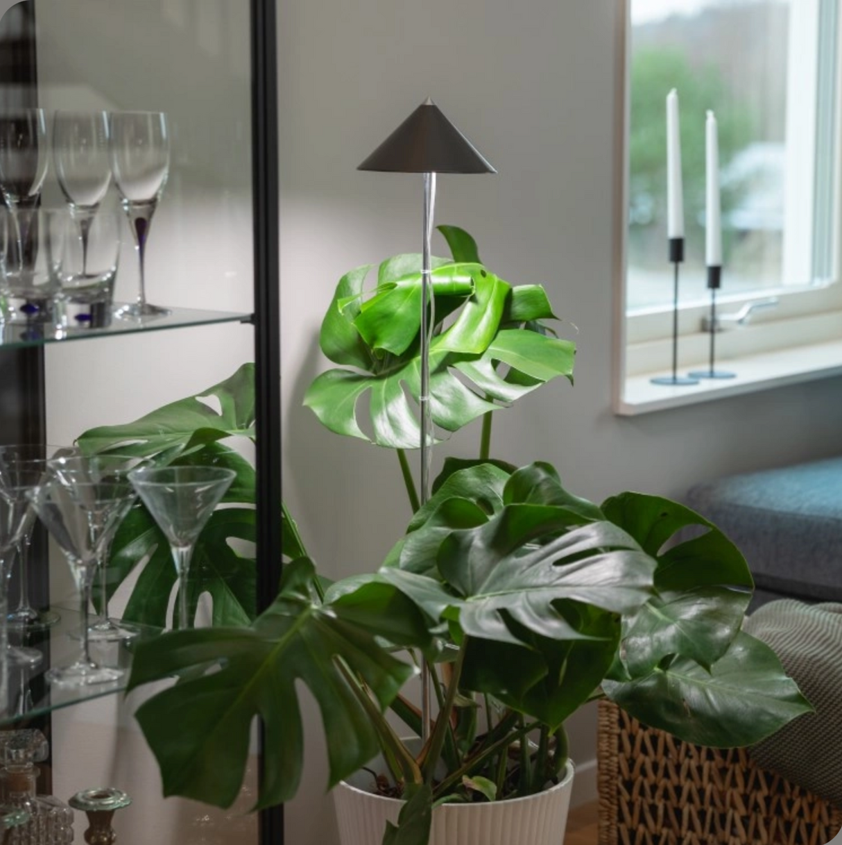 Sunlite växtlampa XL Grafitgrå - 25W