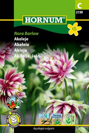 Stjärnakleja 'Nora Barlow'