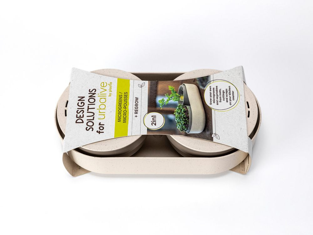 Microgreen and Regrow 'Ivory'