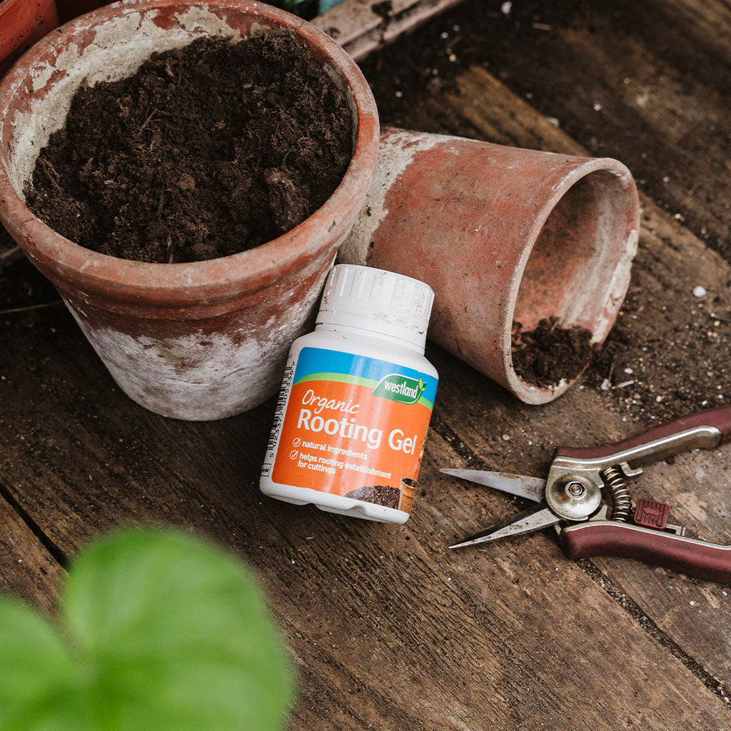 Westland 'Rooting Gel' 150g