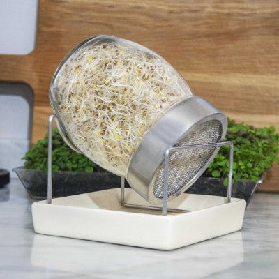 Sproutly: Geo Glasburk