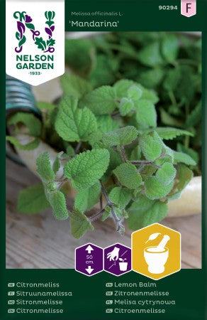 Citronmeliss 'Mandarina'