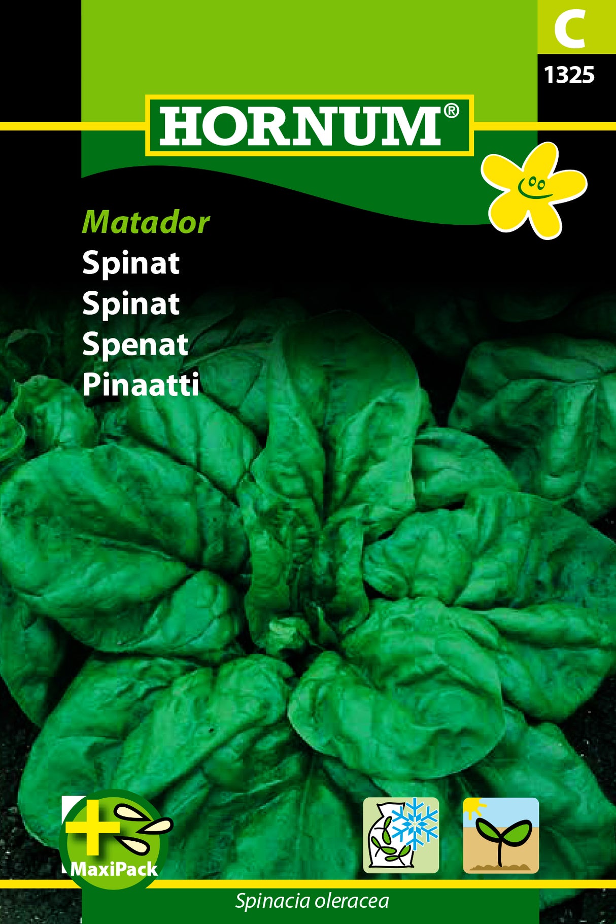 Spenat 'Matador' frö
