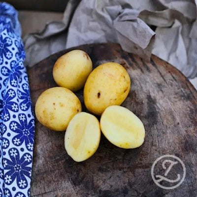 Sättpotatis - Solist 1kg EKO