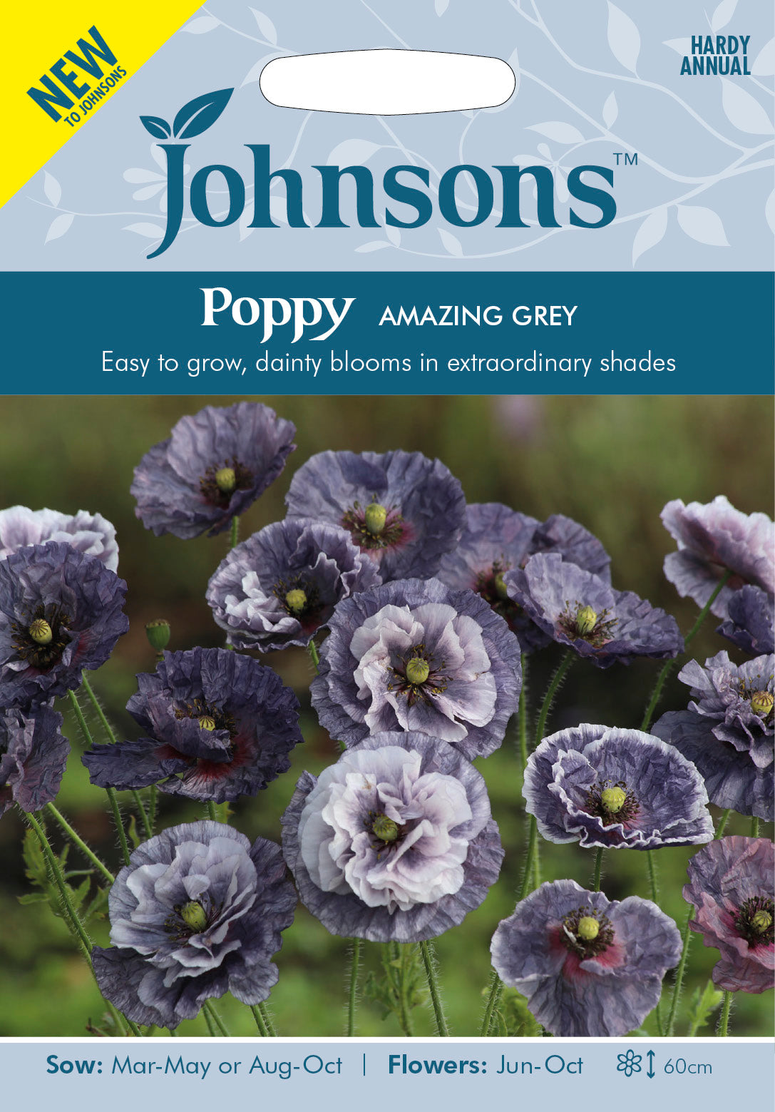 Kornvallmo 'Amazing Grey'