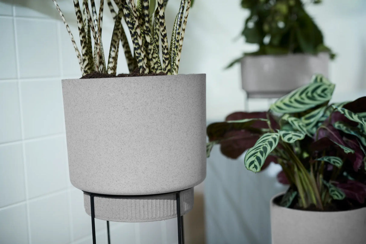 b.for Studio Round 30cm - Living Concrete