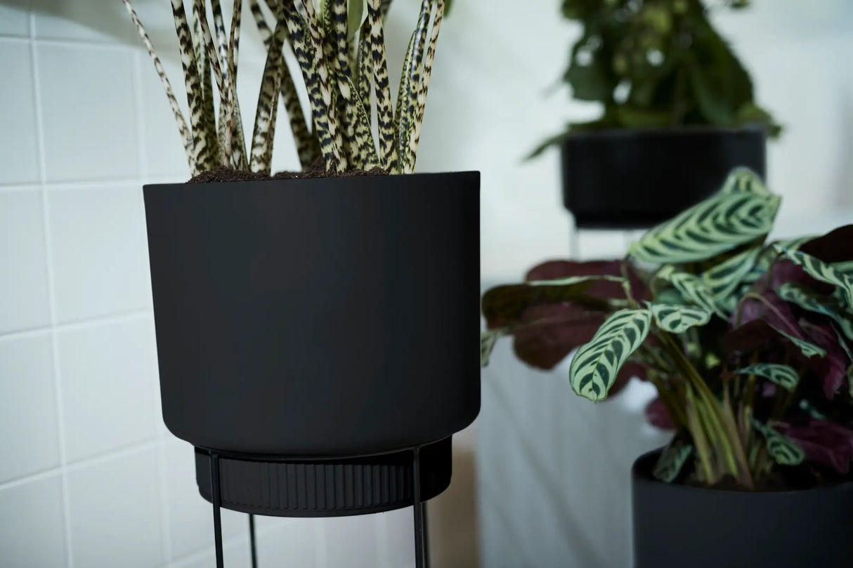 b.for studio Bowl' Ytterkruka 30cm - Living Black