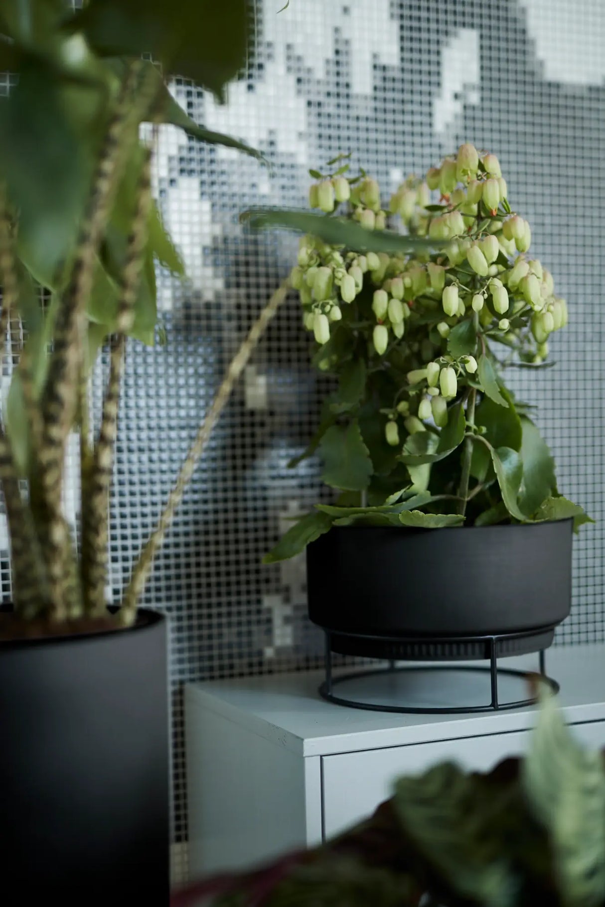 b.for studio Bowl' Ytterkruka 30cm - Living Black