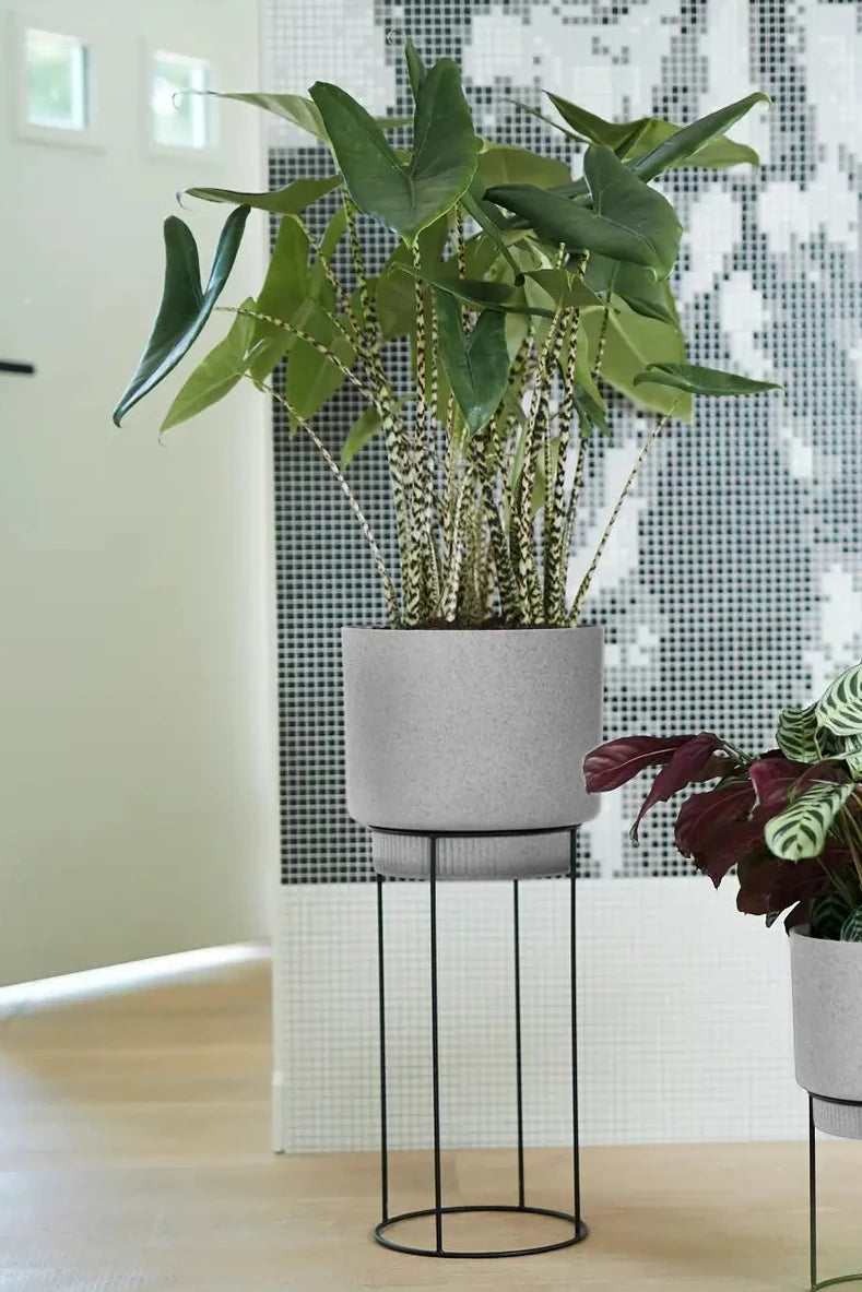 b.for Studio Round 30cm - Living Concrete