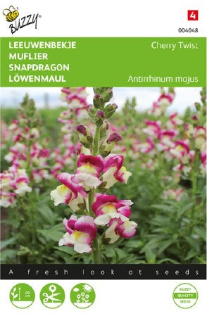 Lejongap 'Cherry twist'