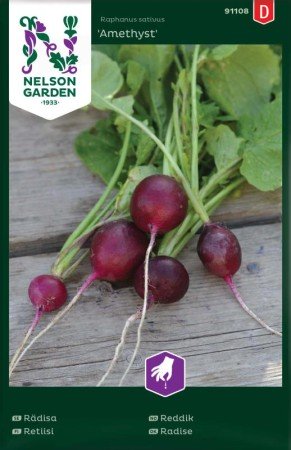 Rädisa 'Amethyst'