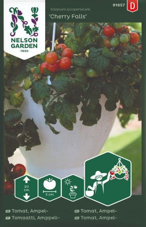 Ampeltomat 'Cherry Falls'